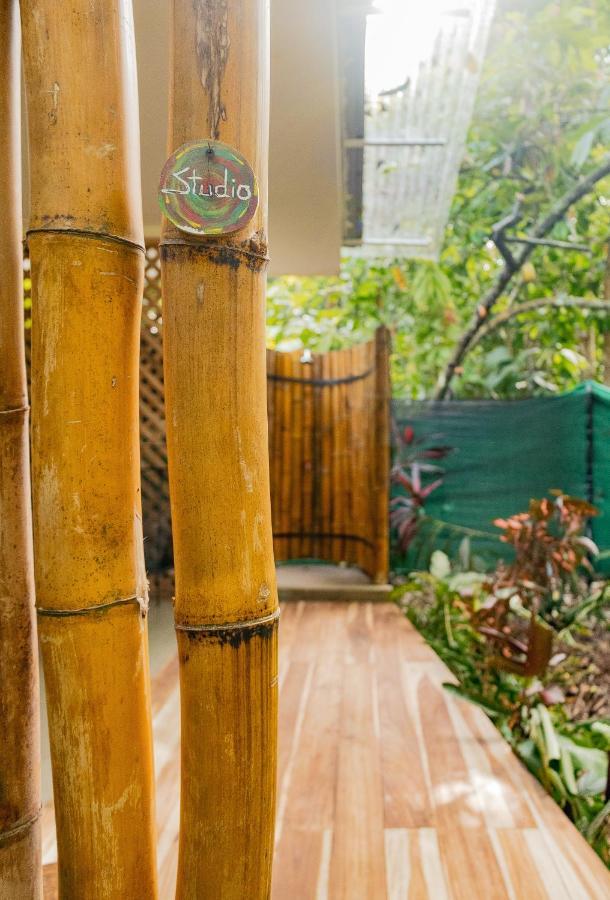 Casa Eden - Modern Peaceful Jungle Apartments Cocles Exteriér fotografie